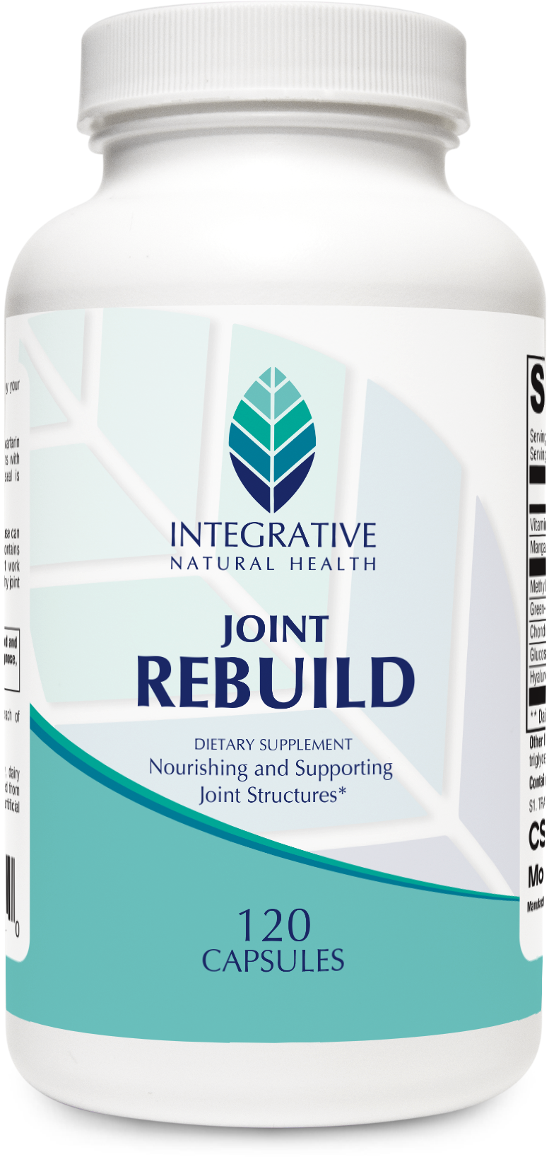 Joint Rebuild